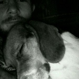 Meet your Posher, Stacy